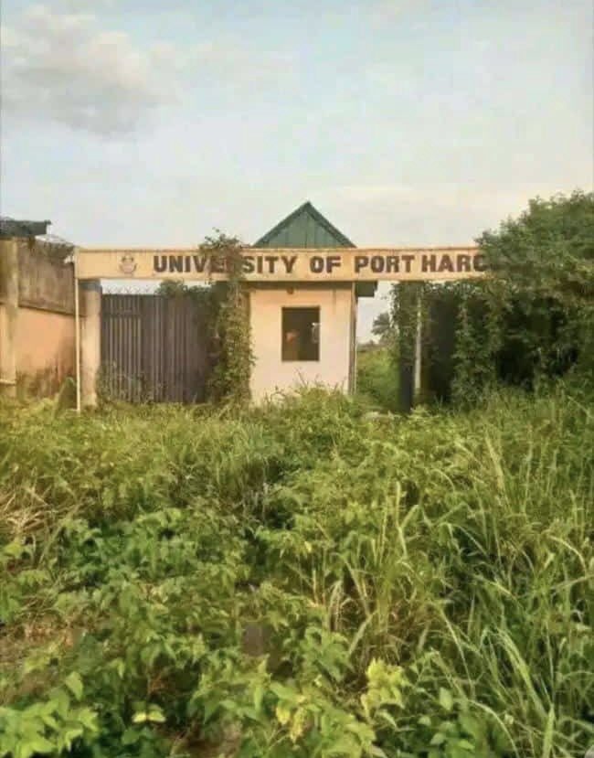 yabaleftonline's tweet photo. ASUU, nice one 👍🏽 https://t.co/tz7TO2uFlb