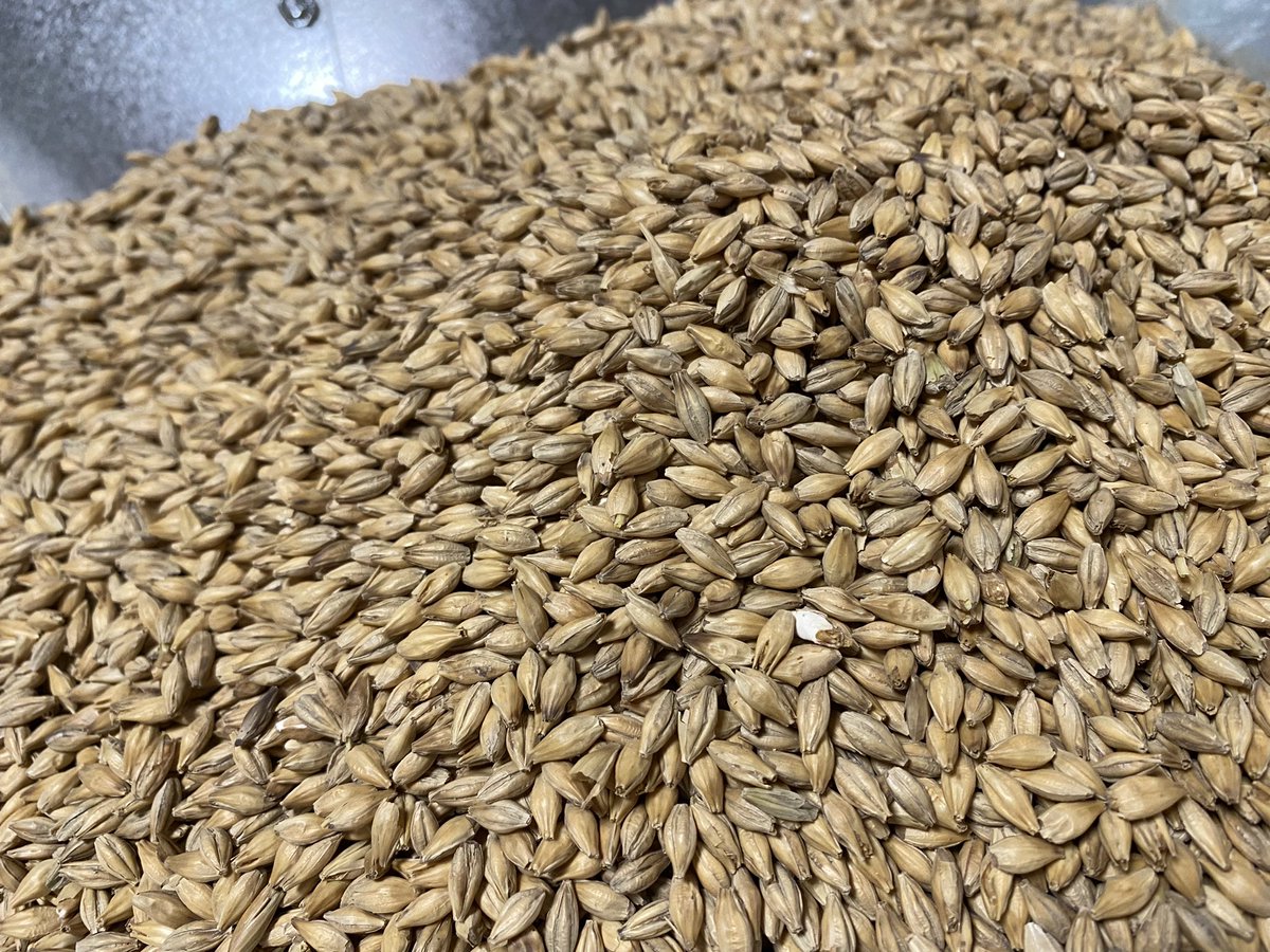Buffalowing's tweet photo. Czech pils on the #Brewzilla! @MoreBeer_B3 with some Haná Moravian malt! #homebrewing #homebrew 🍻🍺 https://t.co/7LFcIjEPNU
