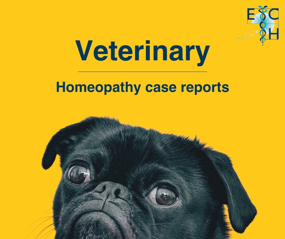 ECHhomeopathy's tweet image. Edward De Beukelaer is one of many veterinarians who uses homeopathy in veterinary practice daily, alongside conventional medicine. 🐕 🐈

Here, he speaks about three chronic case studies of ferrum phosphoricum. 👉 youtube.com/watch?v=vyZbr3…

#homeopathy #veterinary #casesstudy