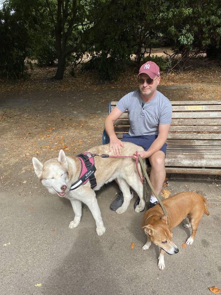 RogueMScott's tweet photo. So happy my baby Kiara is having a good time with her holiday sitters while I’m thousands of miles away from her. Can’t wait to get my doggie cuddles again #dogsitters #husky #roverapp #holidays https://t.co/h3FBWUYAr9
