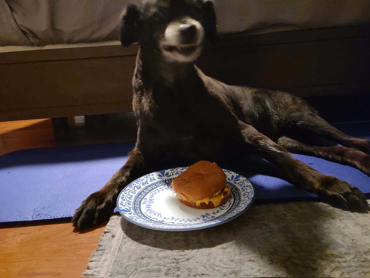 Yaboystrda's tweet photo. Reat in peace to the goodest girl in the whole wide world ❤️❤️ https://t.co/PslK4OwQUz
