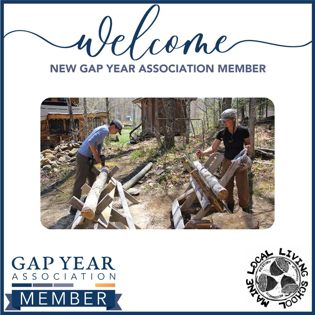 Gap Year tweet media