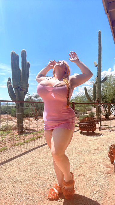 🌵 https://t.co/NZEkexxt96