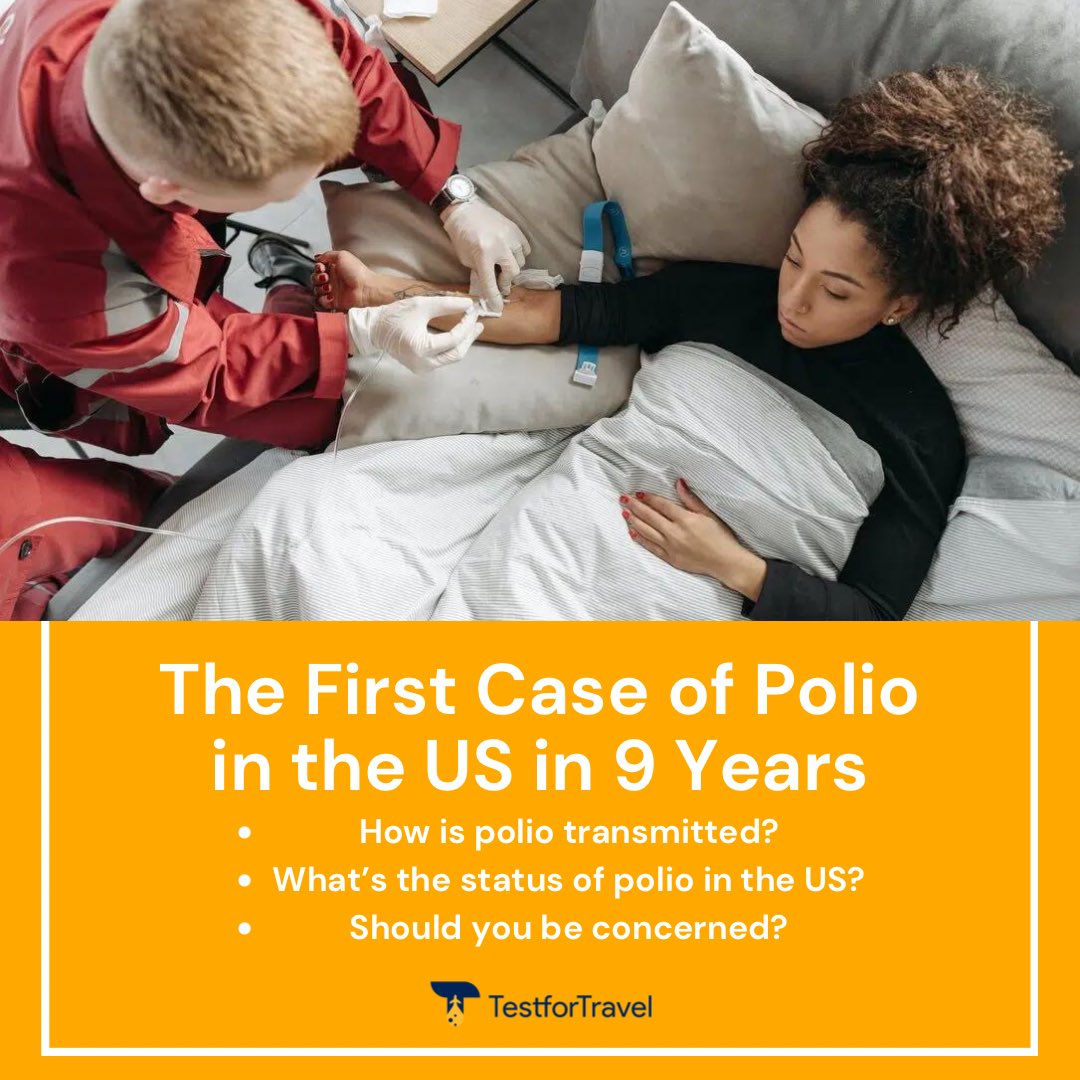TestforTravel's tweet photo. Polio has been reported in the US and we are here to answer your questions about it! https://t.co/pGXD6J00q5

#Travel #TestForTravel #Traveling #Summer #COVID19 #COVID #Polio #UnitedStates https://t.co/1CDFbOshEC