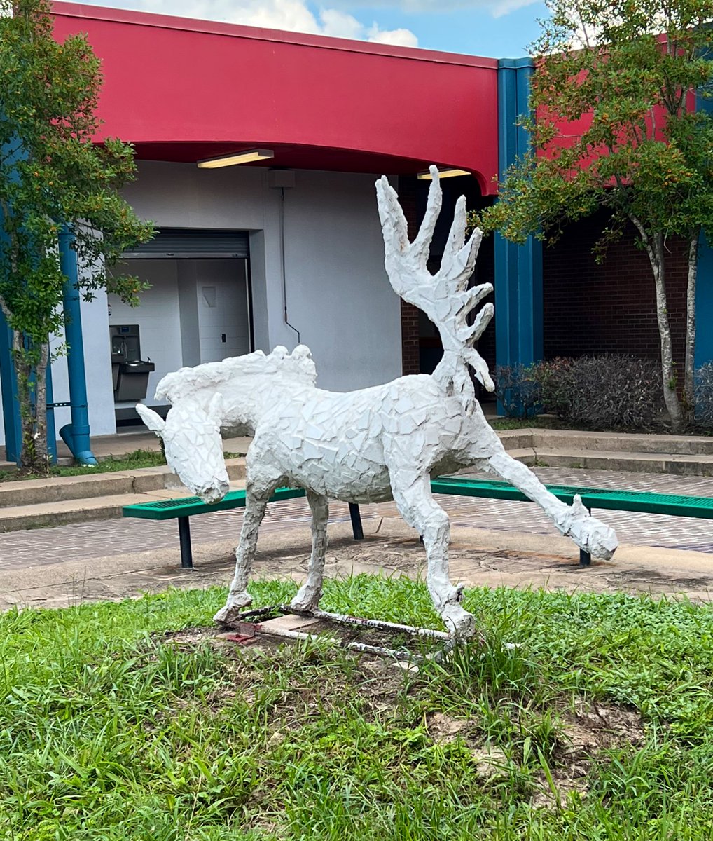 Paige White Spraggins tweet media