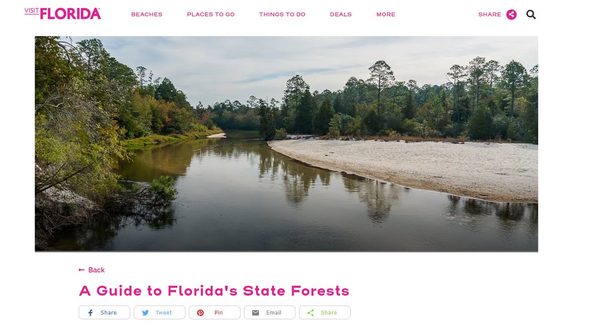 FriendsofFLForests tweet media