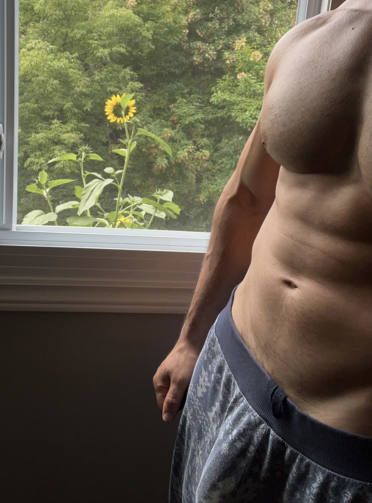 mostafa.rok on Twitter: "Window 🪟 my room view https://t.co/kKGjHkVaHm" / Twitter