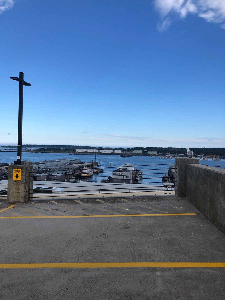 Scheherazade F Mason tweet media