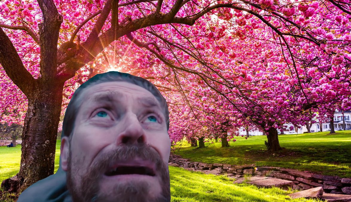 𝖕𝖆𝖇𝖑𝖎𝖙𝖔 tweet media