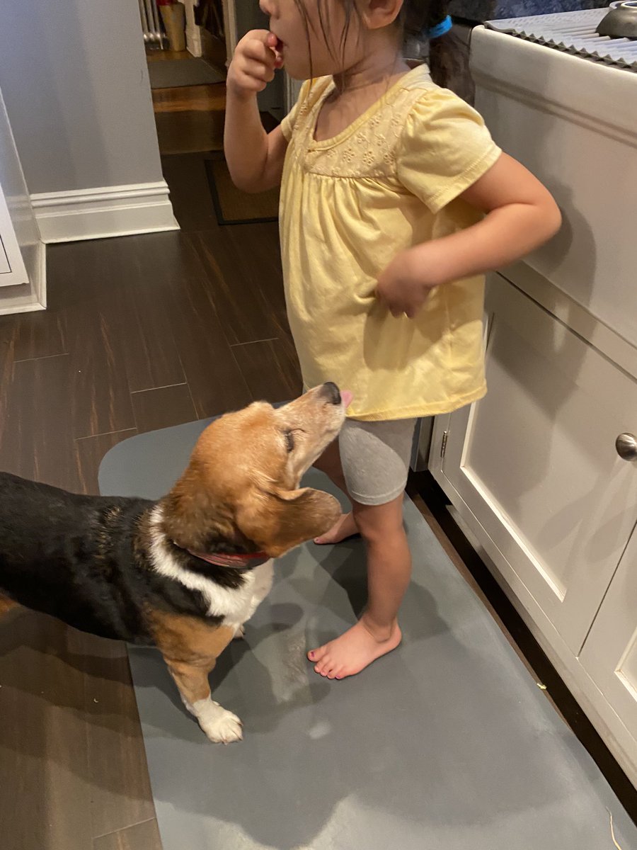 MillietheWB's tweet photo. My 4.5 year old niece is visiting. I need her to start dropping food.  #dropfood #freagle https://t.co/pAm502i6vn