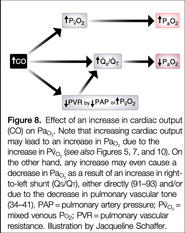msiuba's tweet photo. This @ATSBlueEditor review on gas exchange in #ARDS is a great reminder of how complex the disease process is and how the effects of our interventions can be unpredictable.

A core curricular read for intensivists and trainees.

https://t.co/e7ycGLk6u6 https://t.co/U5gB3t0hJu
