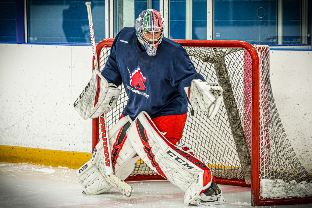 PRO Goaltending tweet media