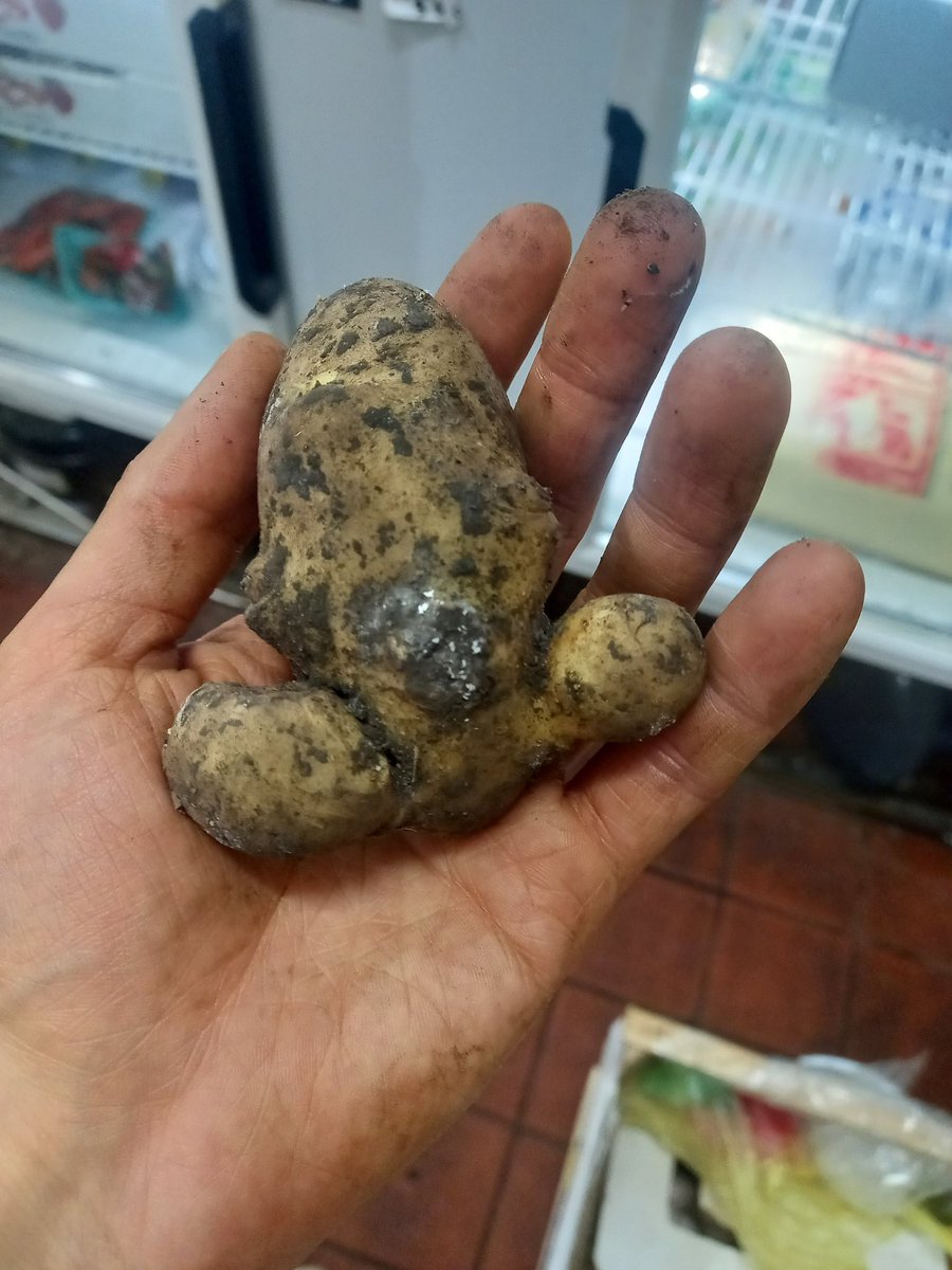FaccuArmanini's tweet photo. Vinieron a devolverme la papa porque era una verga https://t.co/YIePC8FKHk