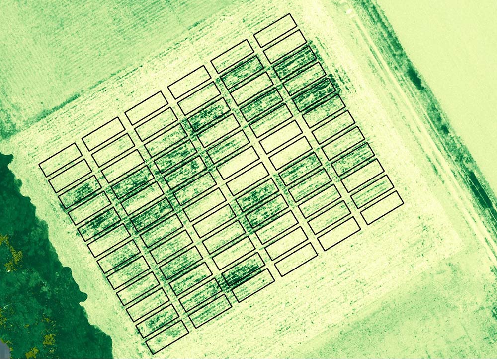 Featured in A&amp;EL - Post-harvest images of corn fields can reveal weed growth related to both management and yield - #OpenAccess study by Miller, Shober &amp; VanGessel doi.org/10.1002/ael2.2… <a href="/DEagronomy/">Jarrod Miller</a> <a href="/UDelaware/">Univ. of Delaware</a> <a href="/alshober/">Amy Shober</a> #drone