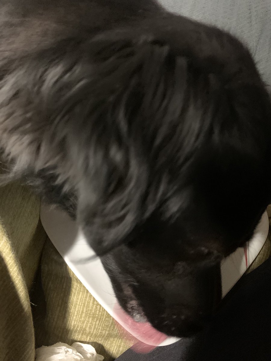 cindyaintright's tweet photo. #Budders: “This officially makes you my bitch.” 

Me: 😟 https://t.co/V5i843KY2A
