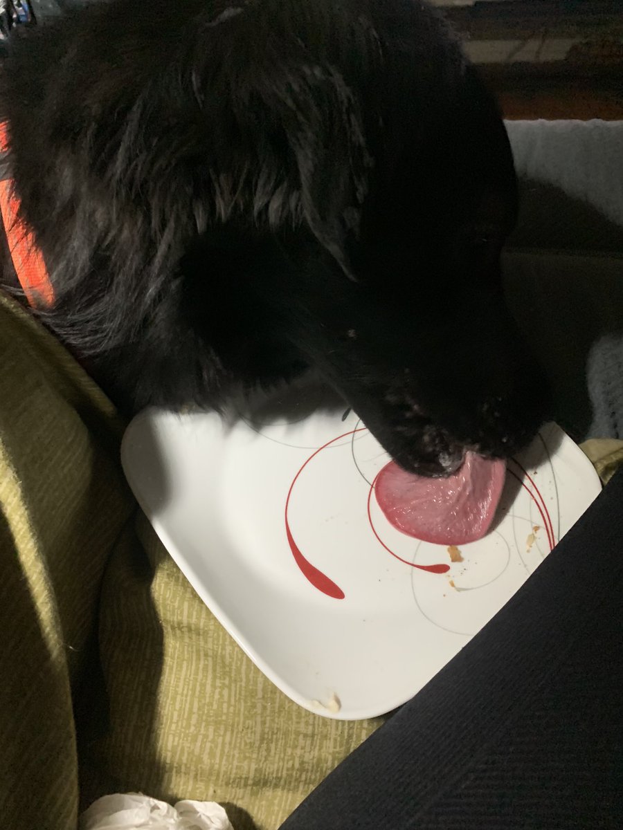 cindyaintright's tweet photo. #Budders: “This officially makes you my bitch.” 

Me: 😟 https://t.co/V5i843KY2A