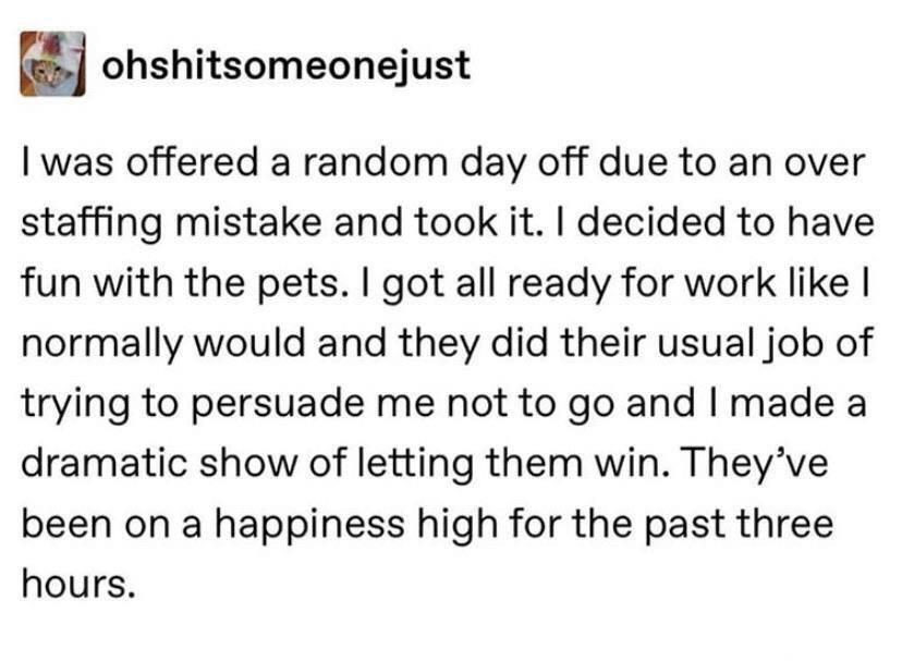 WholesomeMemes tweet media