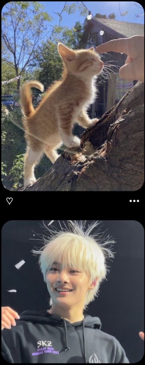Erdbeer60758302's tweet photo. JUST SAW THIS ON MY PINTEREST FEED AND ITS THE CUTEST THING EVERRR🥹 https://t.co/FSyBjHpMzV