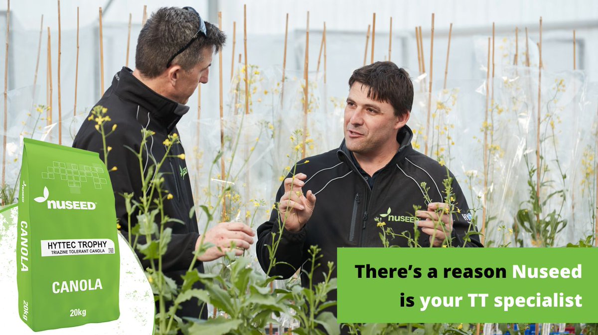 NufarmSeedsAU's tweet photo. Thereβs a reason #Nuseed is your TT specialist.
Our top-performing #HyTTec hybrid TT #canola range combine #hybridseed traits of early vigour π±, disease resistance π‘, & yield performance π with herbicide tolerance for weed control β
Learn more π https://t.co/nnC05daL0E https://t.co/IY1GE4GpbY