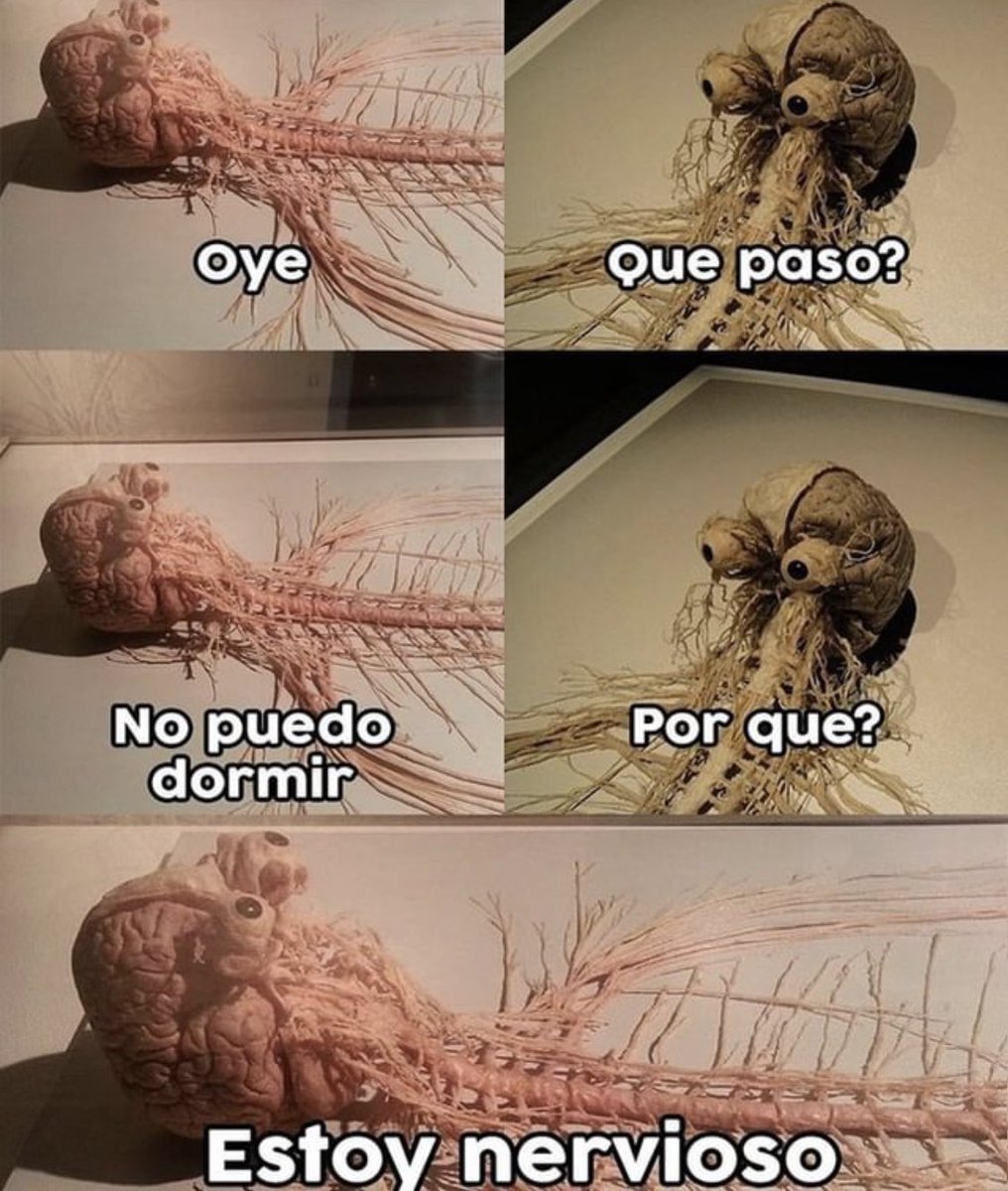 tomi01carp's tweet image. Si