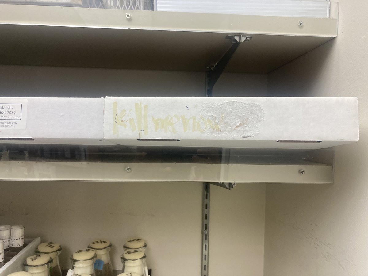 Harmit S. Malik (@harmitmalik) on Twitter photo Seen by me and <a href="/RisaMinurrit/">Risa Takenaka</a> in the Malik lab fly room today. It’s possible this refers to fly strains that need to be culled but that would be the generous interpretation. Seen by me and <a href="/RisaMinurrit/">Risa Takenaka</a> in the Malik lab fly room today. It’s possible this refers to fly strains that need to be culled but that would be the generous interpretation.
