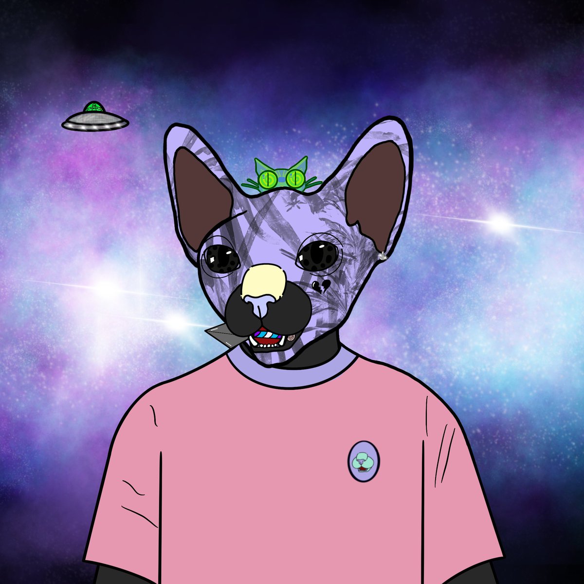 One last Sneak before we are live 😽