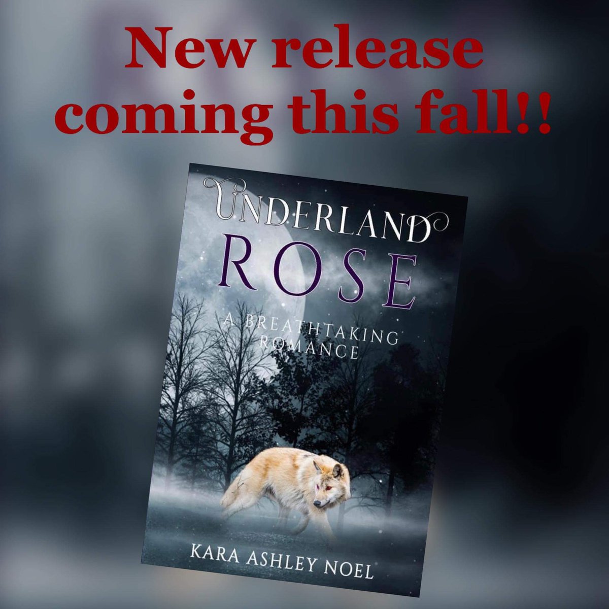 It’s that time!; let’s do a giant #Writerlift since it’s #ShamelessSelfpromoThursday. I am so proud to announce that my first novel will be coming soon. Please #retweet and #followme and share your new work. 

#WritingCommunity #writerscommunity #BookTwitter #books #authortobe