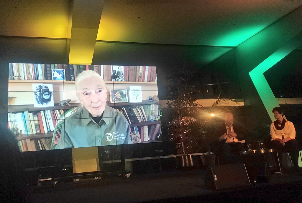 fernhames's tweet photo. Congratulations to @museumsvictoria! Launched a Research Institute &amp; hosted a fabulous Future Forum with @JaneGoodallInst , Tim Flannery &amp; @MVLizards 🎉 Best Q from the audience to DrJane: "How do we connect our minds &amp; our hearts?" @melbournemuseum @janegoodallau #FutureForums https://t.co/1zx6KpstNX