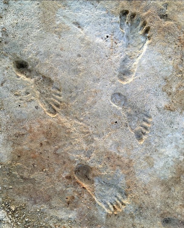 Wealthness42's tweet photo. A team of scientists announced the discovery of the oldest human footprints in North America in November of 2021.

These fossilized prints were made between 23,000 and 21,000 years ago along the shores of an ice age lake that once filled the Tularosa

https://t.co/DeQ6FSgqIG https://t.co/cG5DqLQk9m