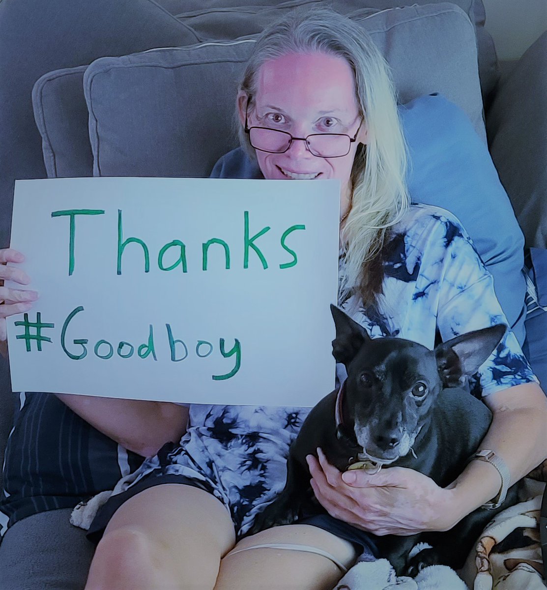 sterlingshelter's tweet photo. Edward (aka Fast Eddie) wanted to say thank you to our friends @goodboy_dogec for their donation of 0.296474 Ethereum ($500) https://t.co/ZINfIGiPxJ