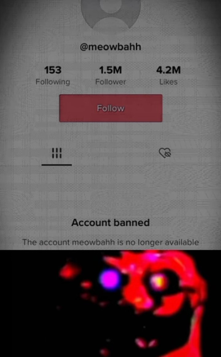 07_nightclaw's tweet photo. @realmeowbah OOOO,who the person that ban from the tik, Meowbah is bitch https://t.co/HSpT7xg6xZ