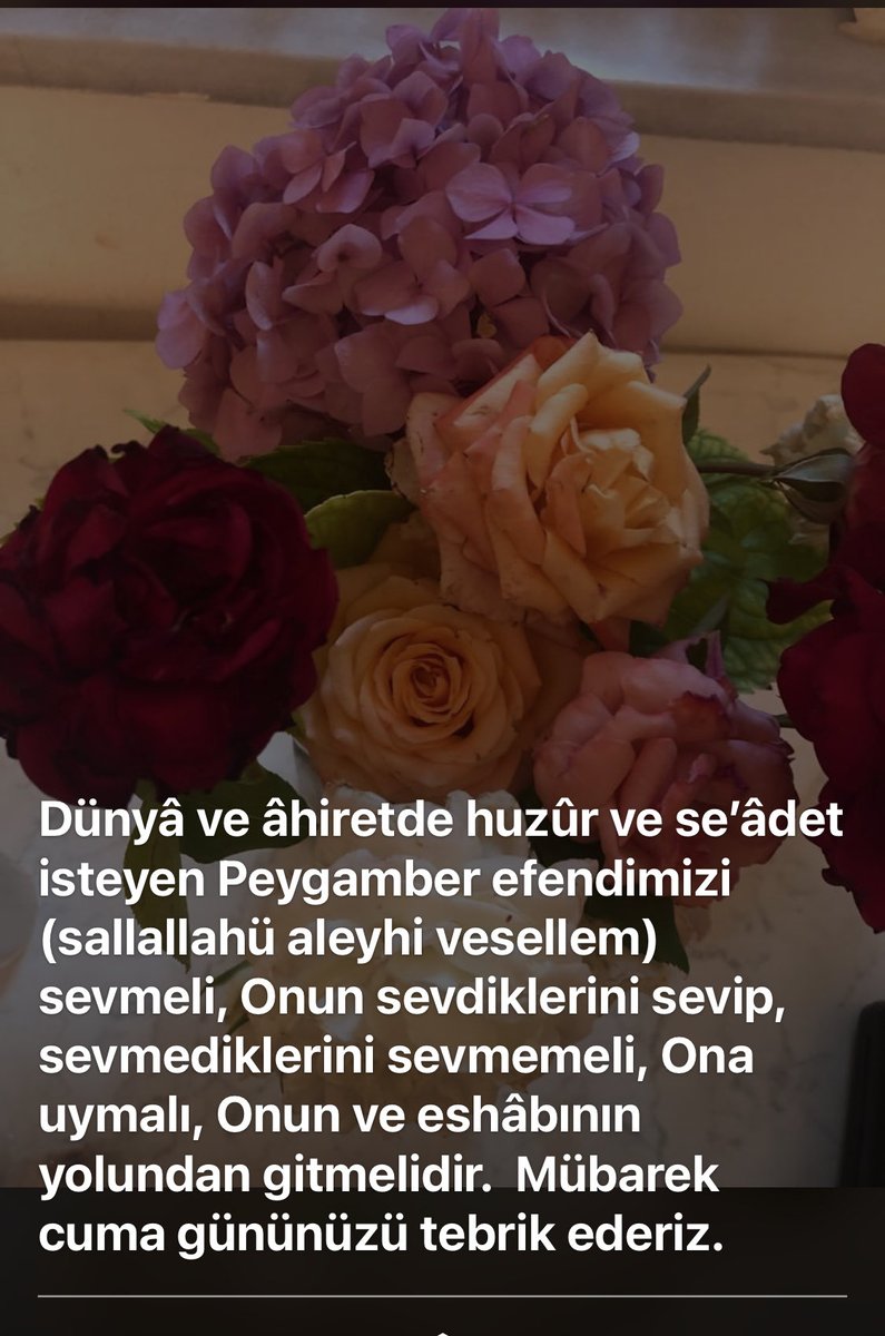 alizekio's tweet photo. https://t.co/vmzkuvYYG9
