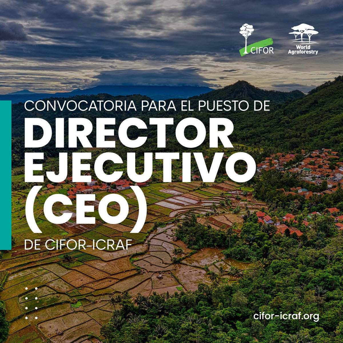 LandAllianceLAC's tweet photo. 📢 #Convocatoria

@CIFOR-@ICRAF está en busca de un Director Ejecutivo que lidere la organización con propósito y que con su conocimiento y alcance ayude a crecer y acelerar el impacto de CIFOR-ICRAF en el mundo.

Más información en 👉 https://t.co/SeFHtnv98b https://t.co/K6G8684wFr