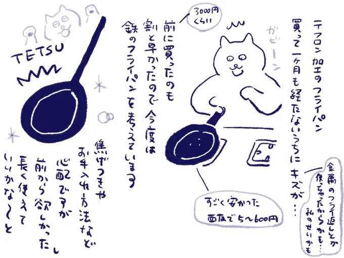 フライパン何使ってますか?

ちなみに今調べたら西友のはテフロンではなくフッ素樹脂加工でした。金属製の器具も不可と書いてありました。とほほ…。軽くてよかったんですけどね。私のせいです。すいませんでした😑 