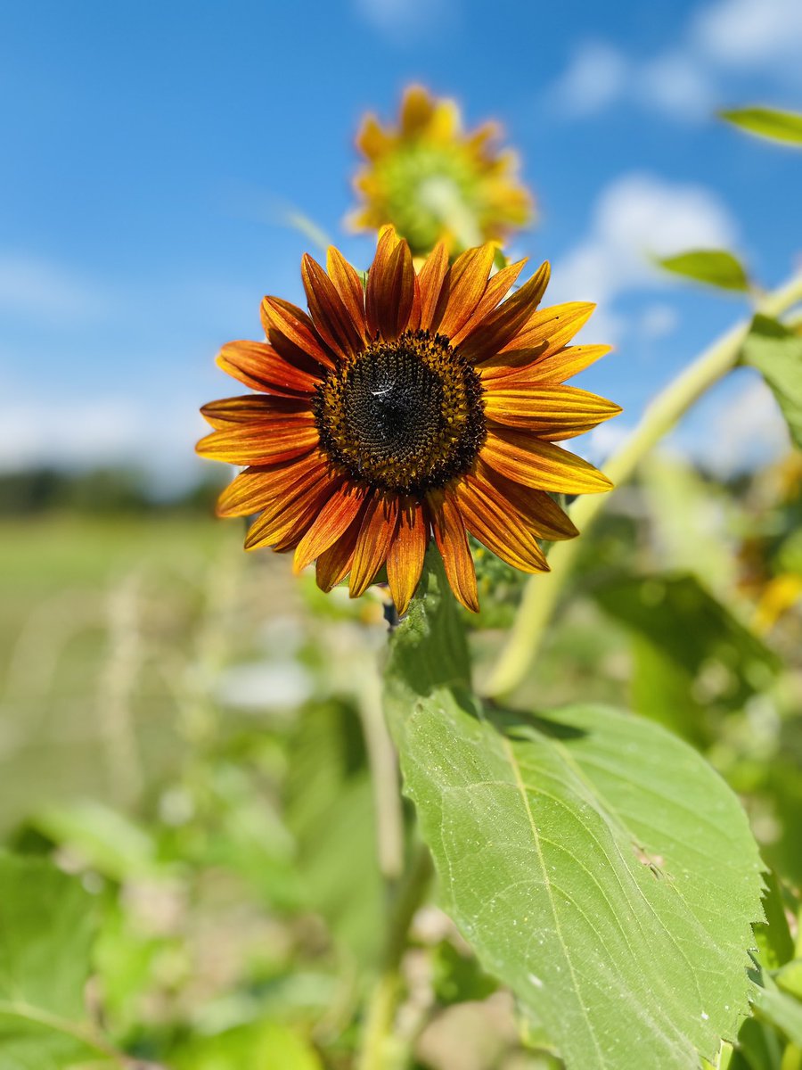 Don’t tell anyone your beautiful things.