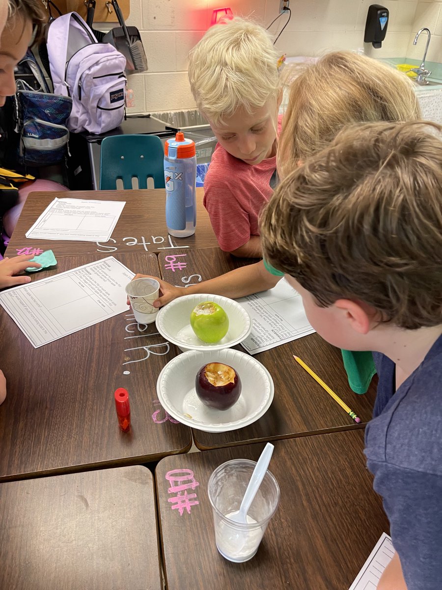 Sarah Dutoi (@mrsdutoisclass) on Twitter photo Todays science experiment was apple volcanoes! Students poured baking soda and vinegar into a red and green apple to see which apple reacted more. It was a great tie in with our volcano novel study. 🍎🍏🌋#thisisthird #scientists <a href="/weRweaver/">Weaver Elementary</a> Todays science experiment was apple volcanoes! Students poured baking soda and vinegar into a red and green apple to see which apple reacted more. It was a great tie in with our volcano novel study. 🍎🍏🌋#thisisthird #scientists <a href="/weRweaver/">Weaver Elementary</a>