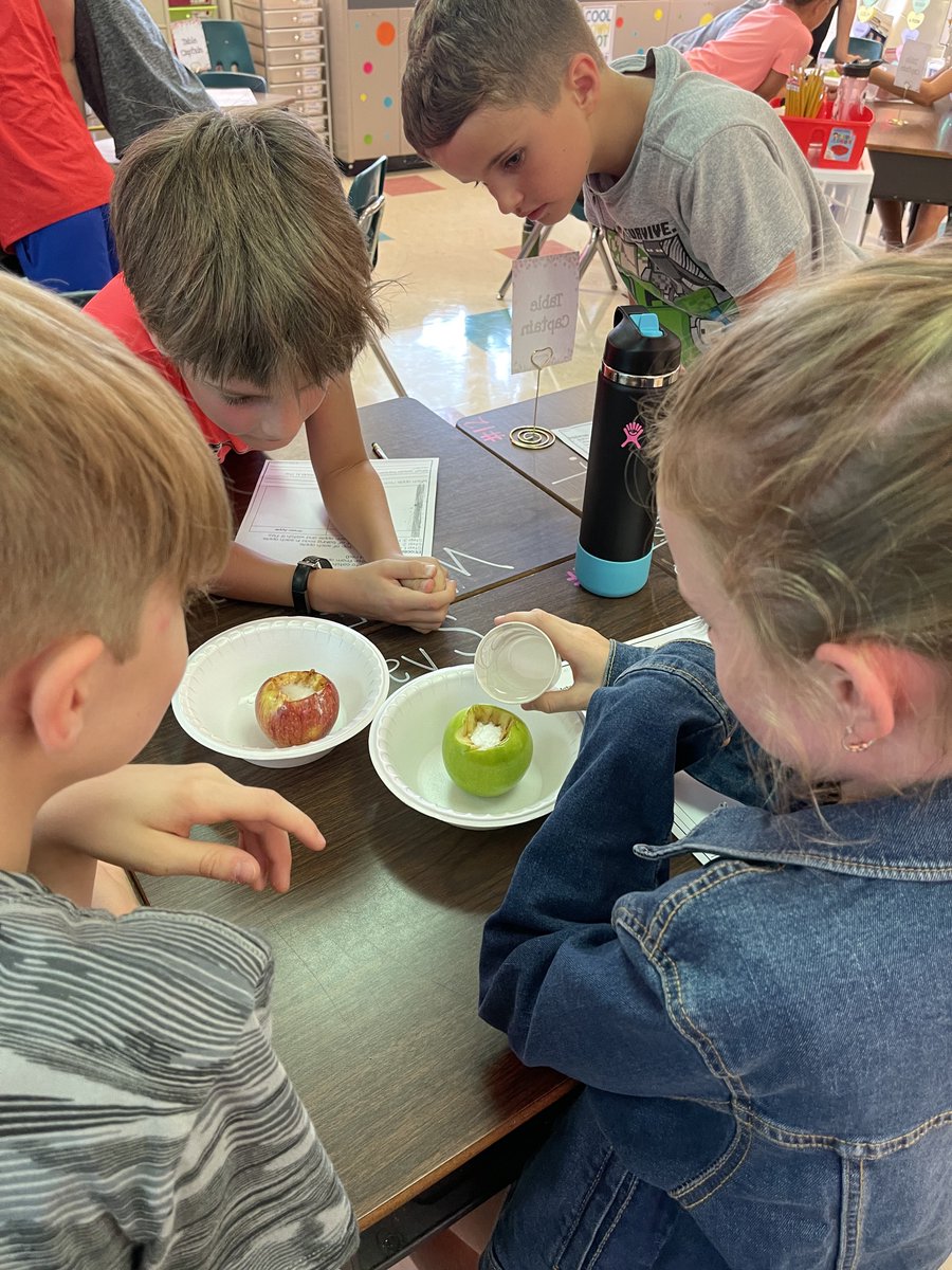 Sarah Dutoi tweet media