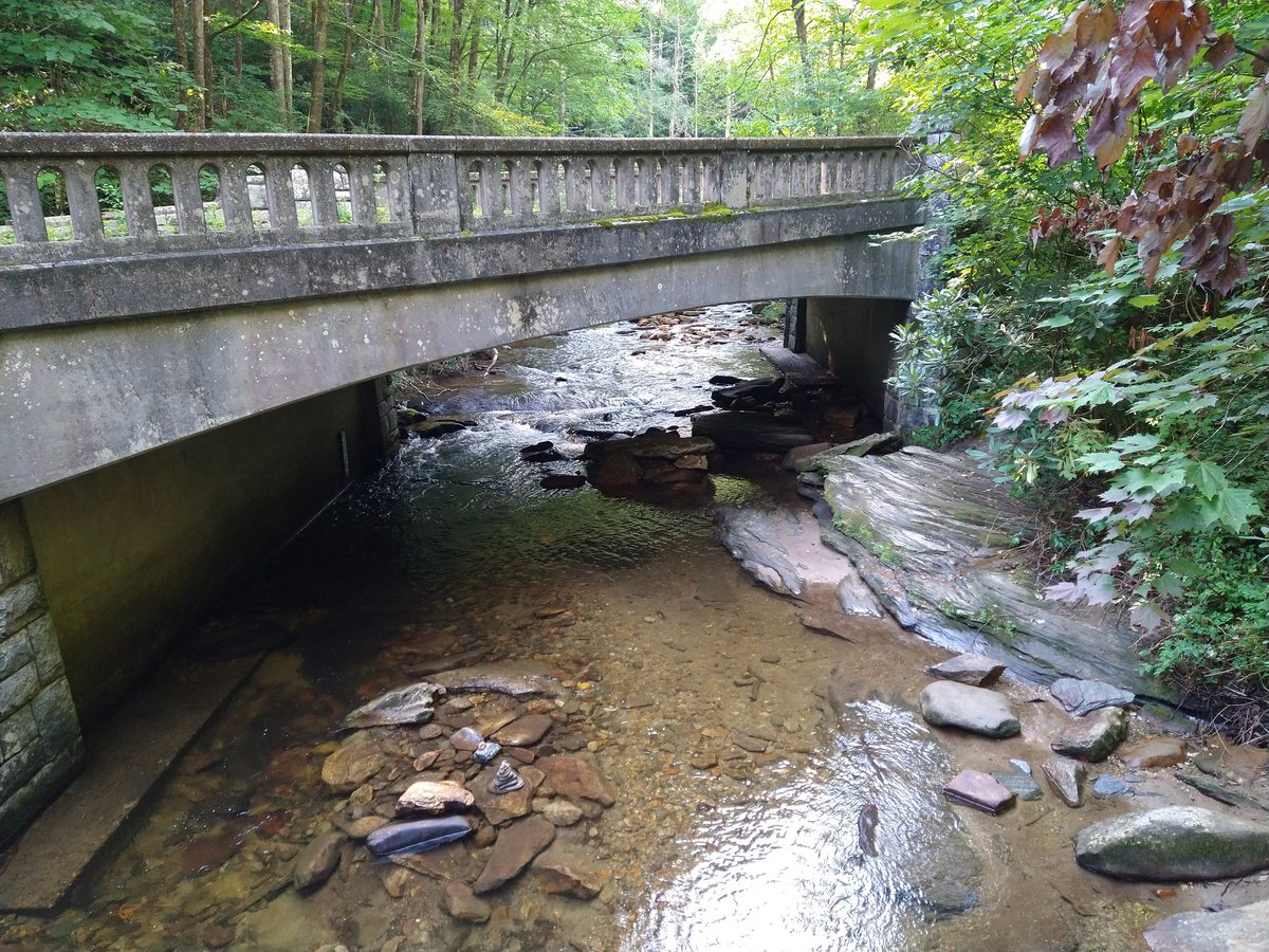 TroutProStore's tweet image. Spent a little time at Pisgah and the Davidson river. Slightly cooler temps. Water was down.