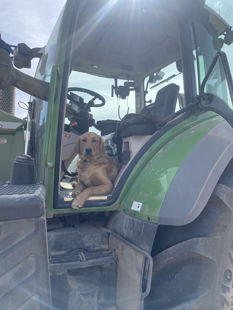 Kayla Veldman tweet media