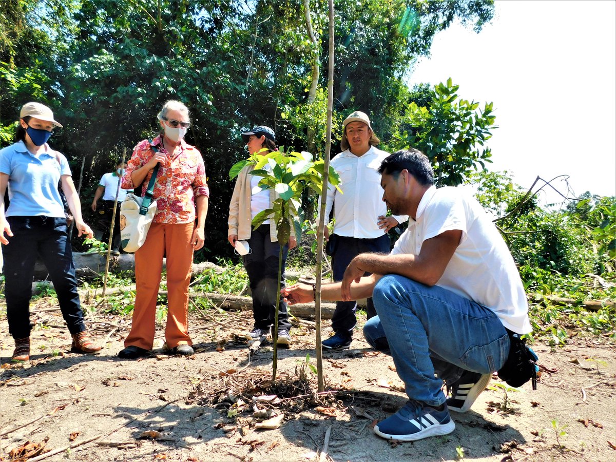 AiderONG's tweet photo. @USAIDPeru fue parte de la Ruta del Conocimiento que muestra las diversas actividades que viene implementando la comunidad nativa Callería con la asistencia técnica de AIDER, para mejorar su calidad de vida y promover la conservación de los bosques. https://t.co/I99nXpxysD