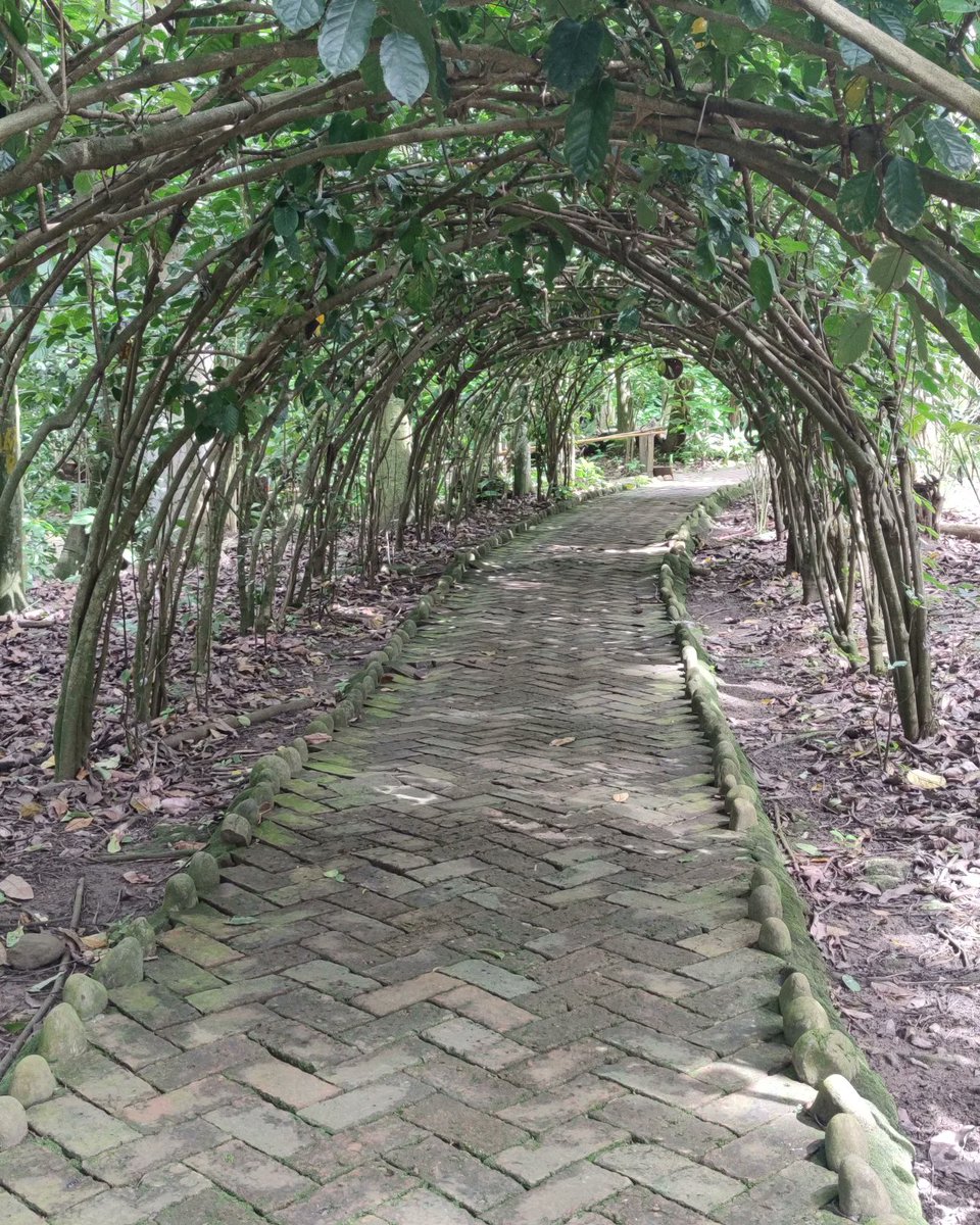 Alejandro_AT__'s tweet image. Naturaleza Enigmática 🍃🔚⁉️ . .
.
.
.
.
.
.
#AlejandroAT #ATG4MER #naturaleza #nature #sangilsantander #sangil #santandercolombia #santander