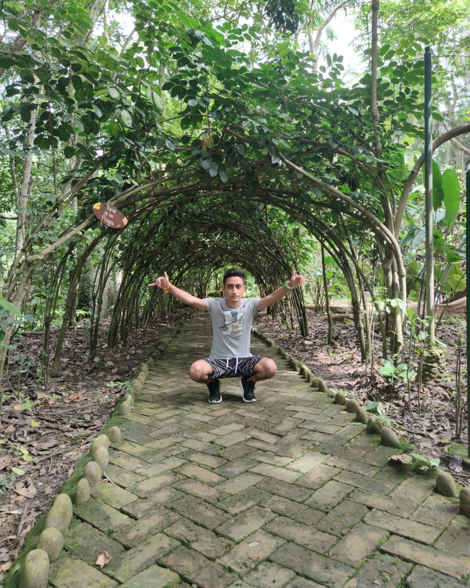 Alejandro_AT__'s tweet image. Naturaleza Enigmática 🍃🔚⁉️ . .
.
.
.
.
.
.
#AlejandroAT #ATG4MER #naturaleza #nature #sangilsantander #sangil #santandercolombia #santander