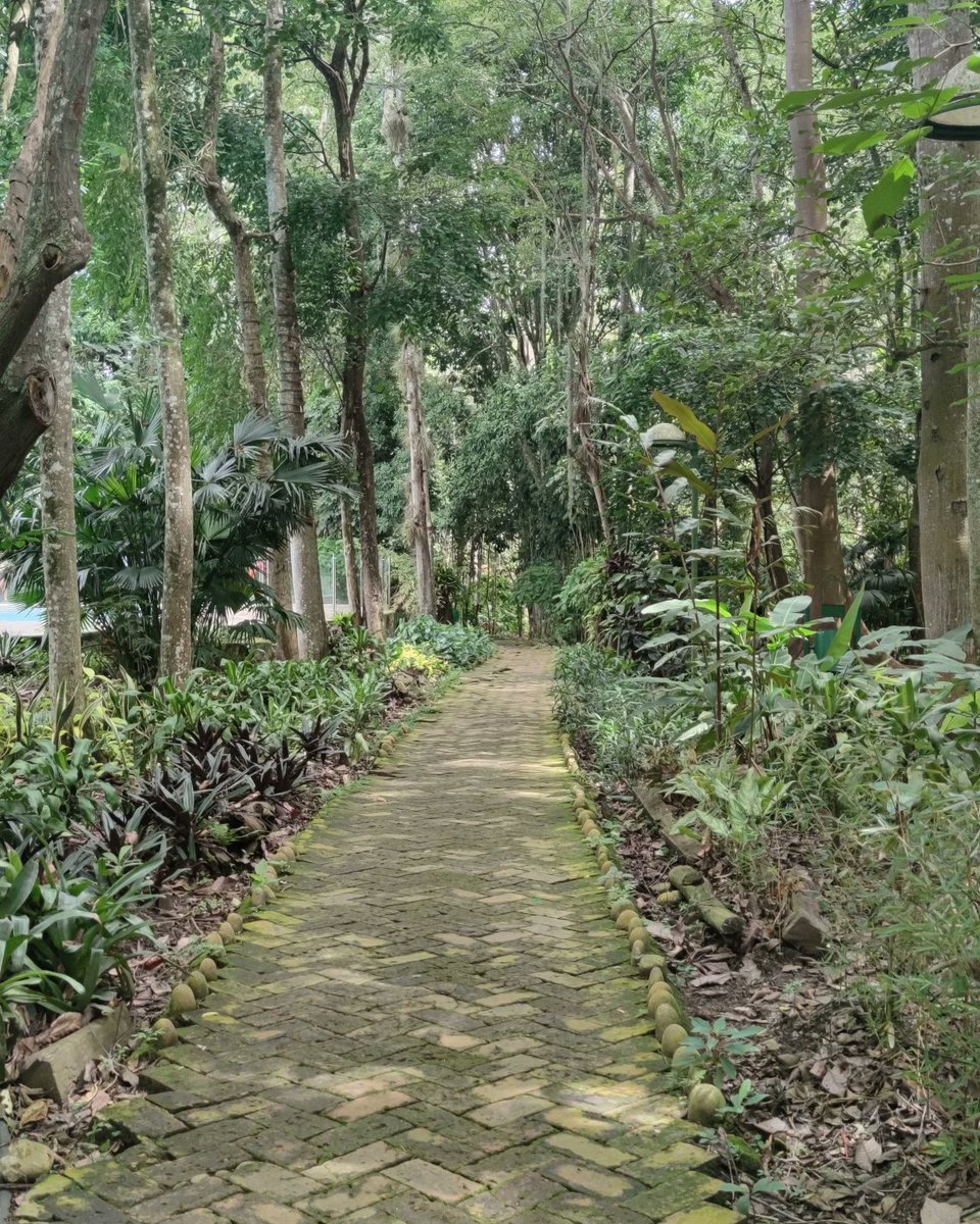 Alejandro_AT__'s tweet image. Naturaleza Enigmática 🍃🔚⁉️ . .
.
.
.
.
.
.
#AlejandroAT #ATG4MER #naturaleza #nature #sangilsantander #sangil #santandercolombia #santander