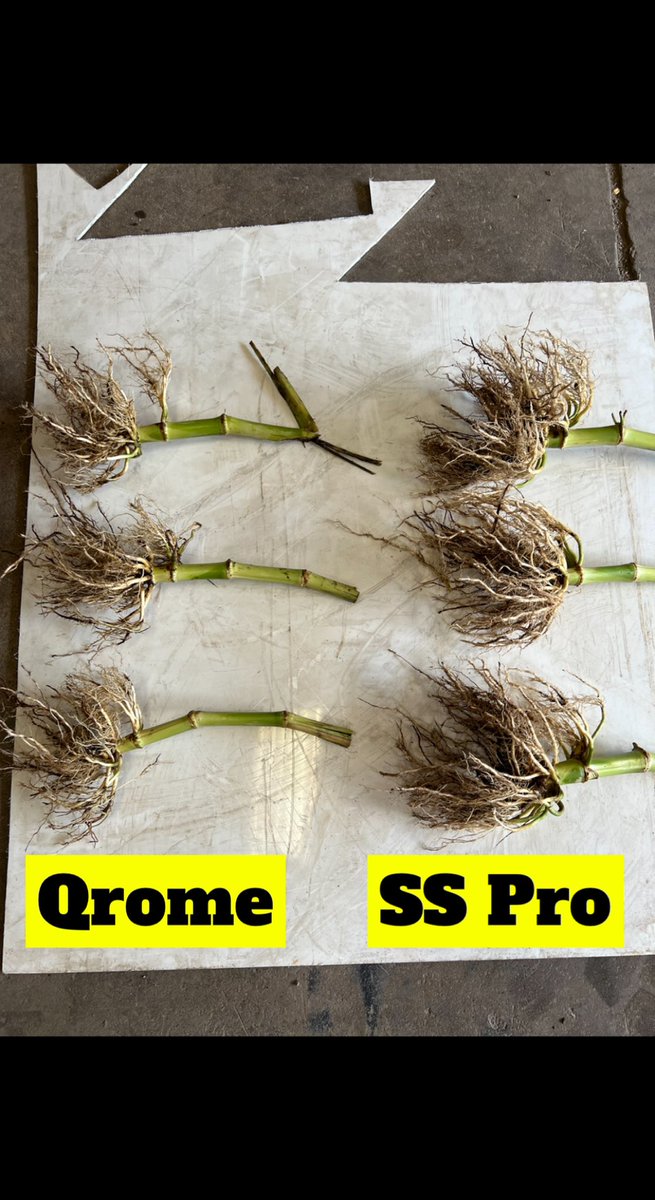 AdamHoogeveen's tweet image. I know which one I want! #SSPro @DKCAsgrowNWIA