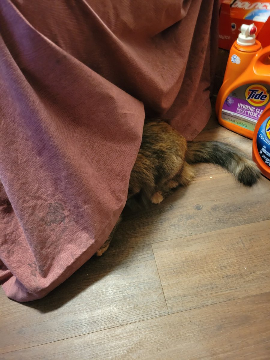 Harley???? Where are you? I can't find you! You must be invisible.