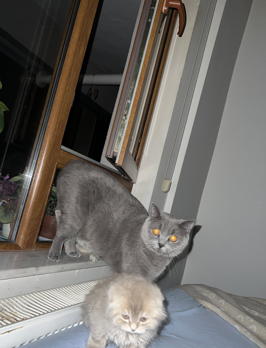 Erken uyanmam gerekiyordur
o sırada evdekiler: