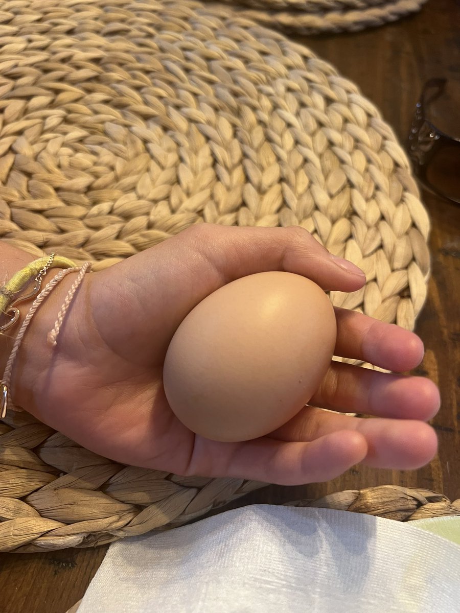 Hedrick the hen laid her first egg. Little over-achiever is early. Here it is in my daughter’s hand. <a href="/DrKellyHedrick/">Head of School at The Williams School</a> So proud!