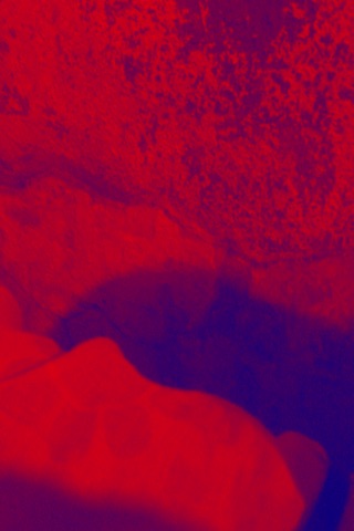 parada_creativ's tweet photo. Taken with Thermal FX app for iPhone &amp; iPad Get it free here https://t.co/okOCtizWfO https://t.co/y1EFLG3MN6