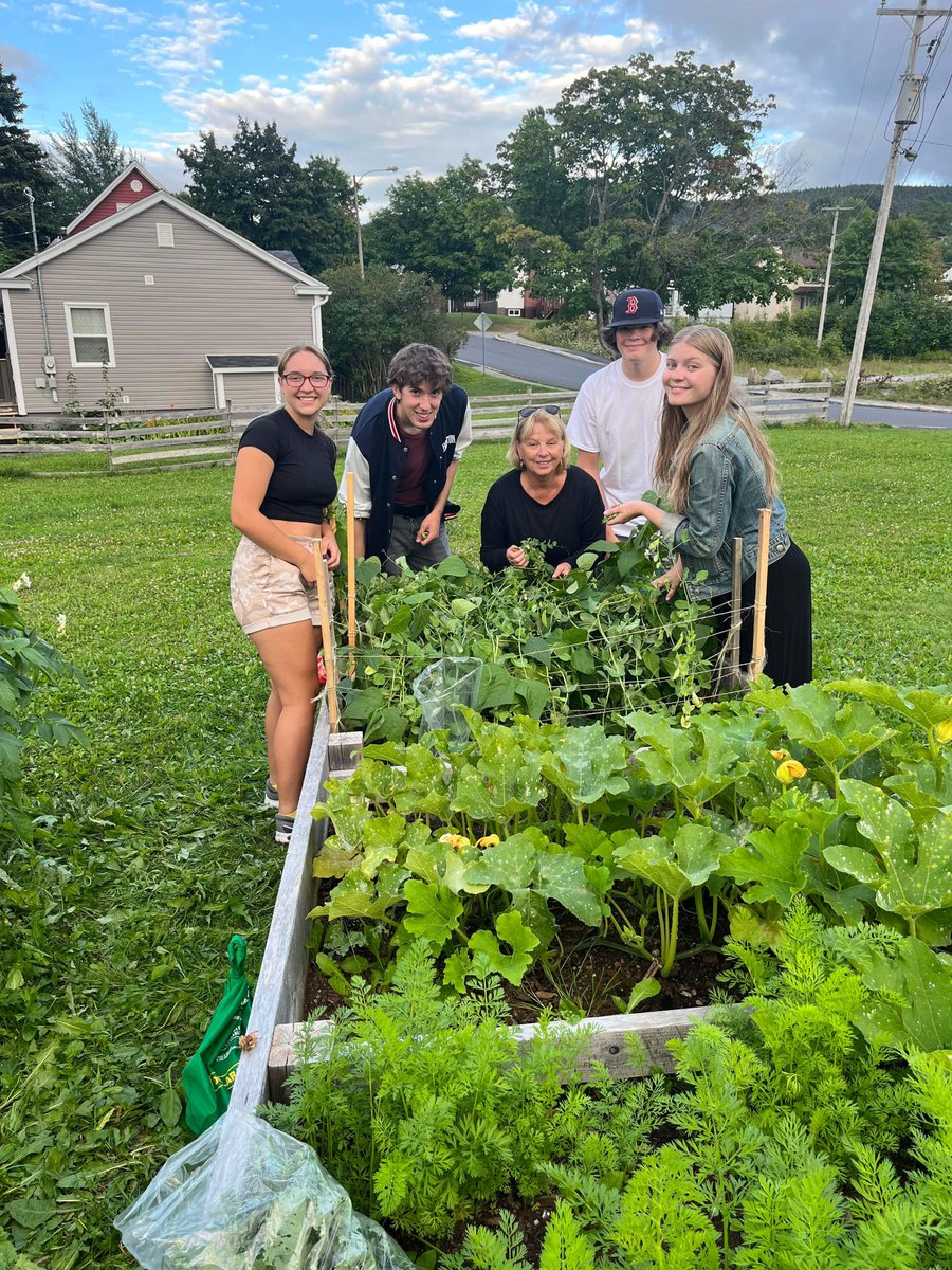 CBYAC at the first harvest of the year... always so exciting to see what we have grown. Our fresh produce is heading to <a href="/WillowHouseNL/">Willow House</a>. #CBkindess <a href="/CornerBrook/">Corner Brook</a>