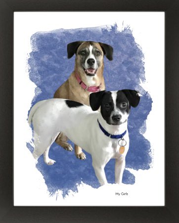 Jayne Chapuis tweet media